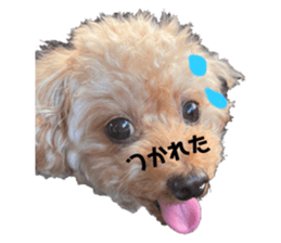767975434