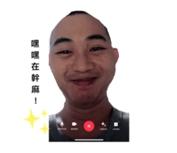 767981402