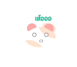 767982878
