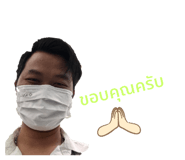 767988546