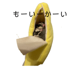 767992058