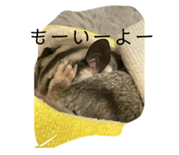 767992059