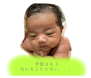 767995230
