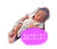 767995231
