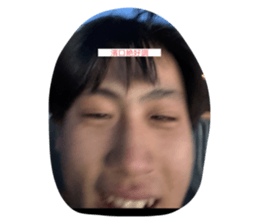 768008137
