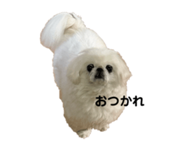 768017988
