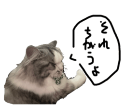 768020665