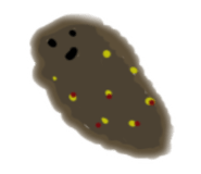 768024341