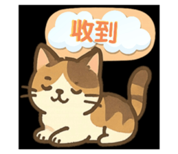 768025412