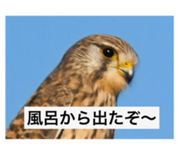 768026011