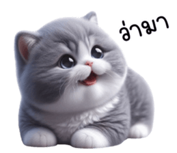 768036669