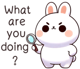 768047981