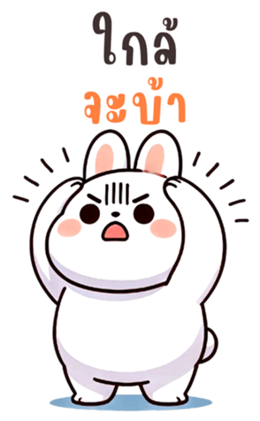 768057036