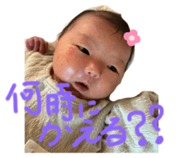 768065696