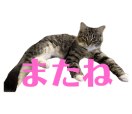 768066358