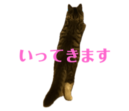 768066365
