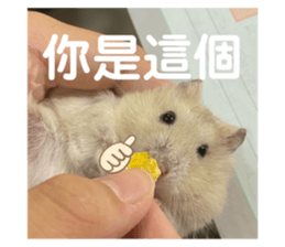 768070091