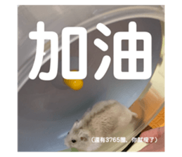 768070097