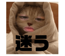 768072060