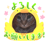 768073659