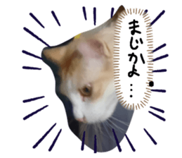 768073728
