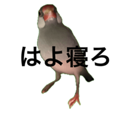 768076597