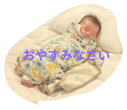 768077566