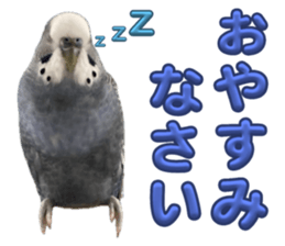 768077650