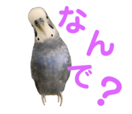 768077666