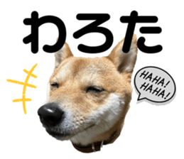 768080756