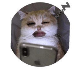 768105719
