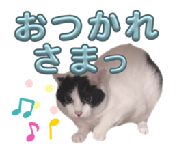 768111690