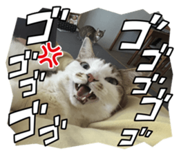 768116560