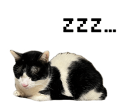 768122529