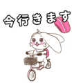 768126647
