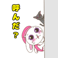 768126675
