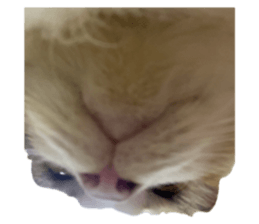 768140107