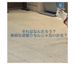 768144273