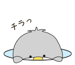 7681449