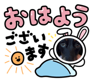 768145580