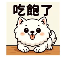 768146337