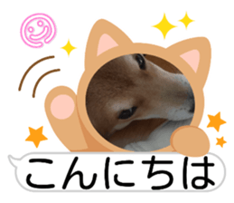 768155331