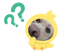 768156645