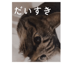 768161779