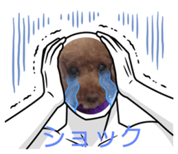 768167347