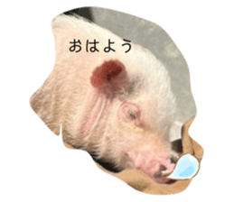 768171651