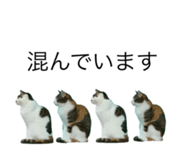 768177513