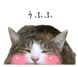 768177518