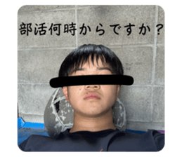 768181153