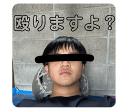 768181155